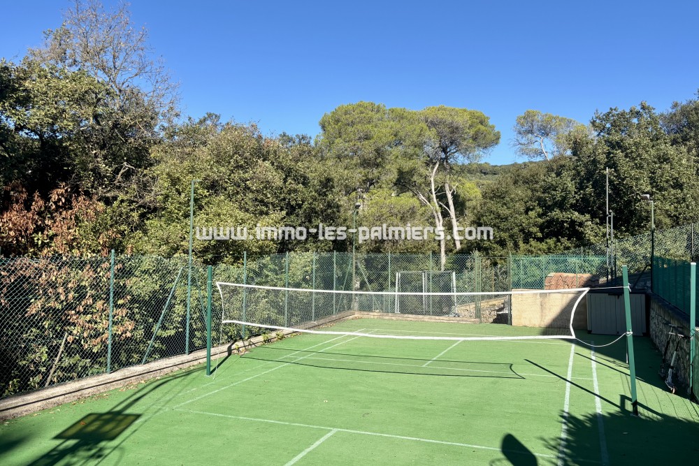 Image 5 : A la limite de la ...