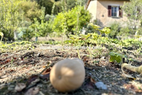 Image 3 : Casa a Roquebrune-Cap-Martin nella rendita vitalizia