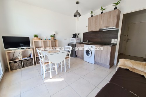 Image 2 : Furnished studio apartment with terrace and private parking