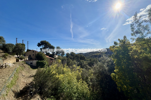 Image 2 : Terrain constructible avec permis accordé à Sainte-Agnès