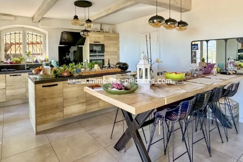 Image 2 : Villa with sea view and Monaco