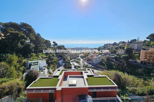 2 rooms with swimming pool